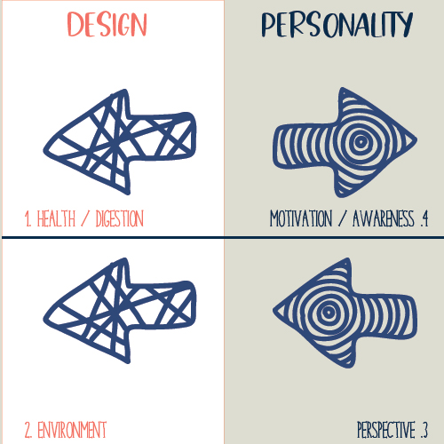 Human Design variables diagram showing Design and Personality sides: Design includes “Health/Digestion” and “Environment,” while Personality includes “Motivation/Awareness” and “Perspective.”